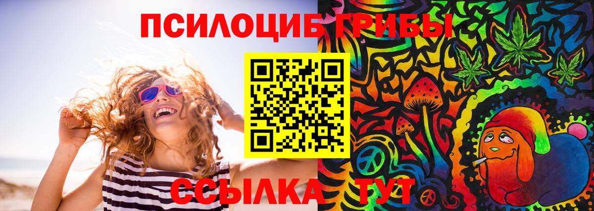 Псилоцибиновые грибы Psilocybine cubensis Жуковский