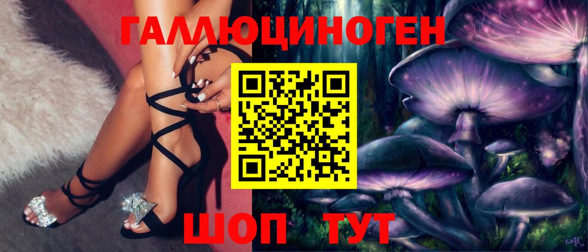 цена наркотик  Псилоцибиновые грибы GOLDEN TEACHER  Вход с VPN  Жуковский  Галлюциногенные грибы мухоморы 