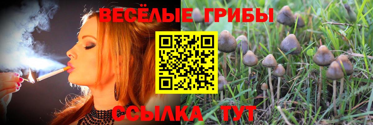 ТГК  Вход с VPN  Марихуана  Жуковский  МЕТ  ГАШ  Меф МЯУ МЯУ кристаллы  Alpha PVP СОЛЬ кристаллы  COCAIN 